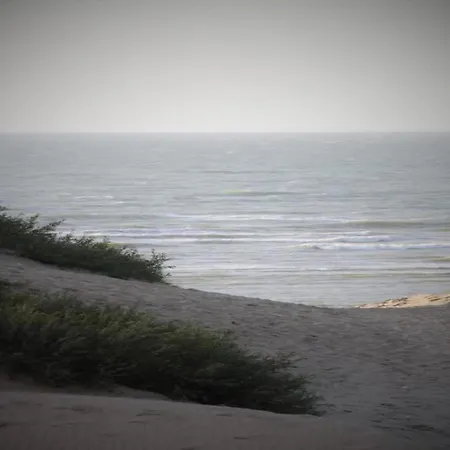 Coastal Comfort In