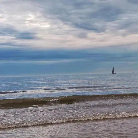 Coastal Comfort In *